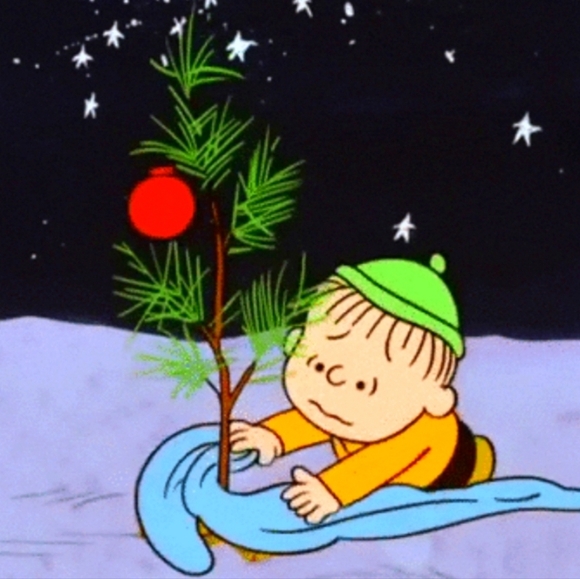 Peanuts Charlie Brown Kneeling With Tree Hallmark Ornament - Picture 12 of 16